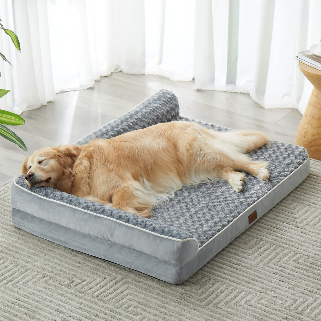 Why Orthopedic Dog Beds Are Essential for Large Breeds