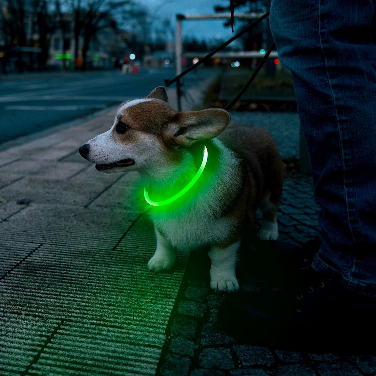 LED Dog/Cat Collar USB Rechargeable