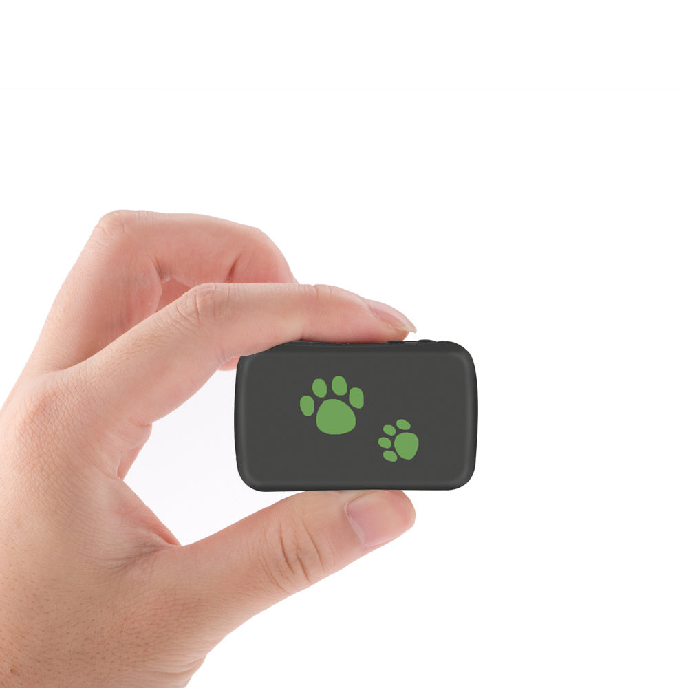 Pet GPS Tracker